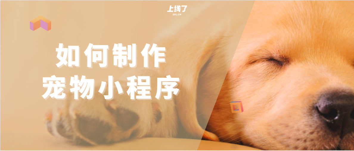 宠物小程序 宠物小程序